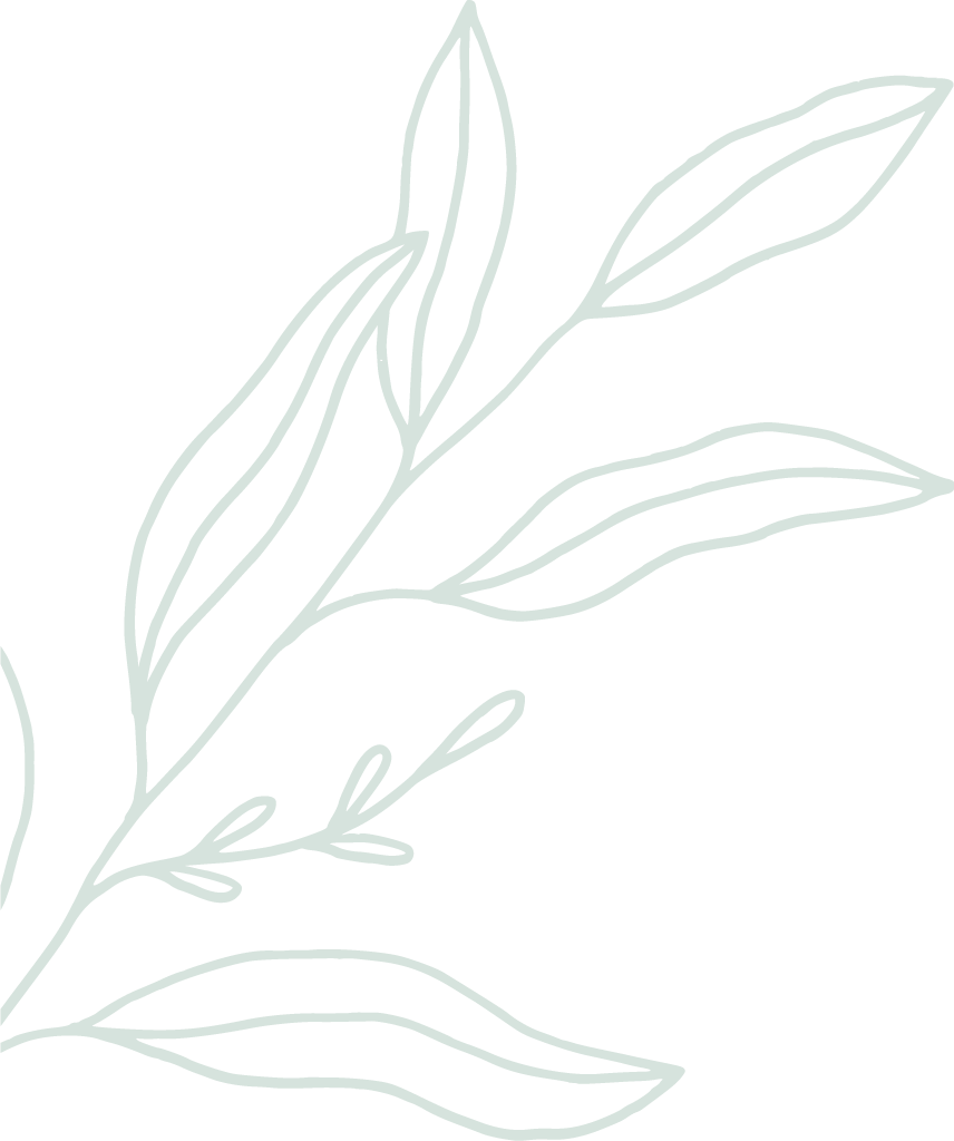 Layer_1